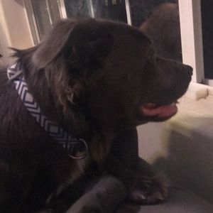 Meet your Posher, Jori